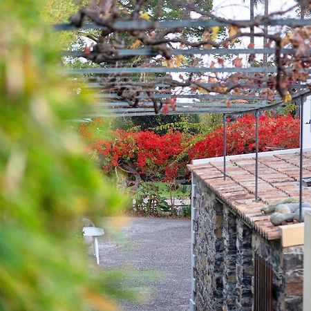 شقة Ourmadeira - Loja Da Lenha, Charming فونشال المظهر الخارجي الصورة