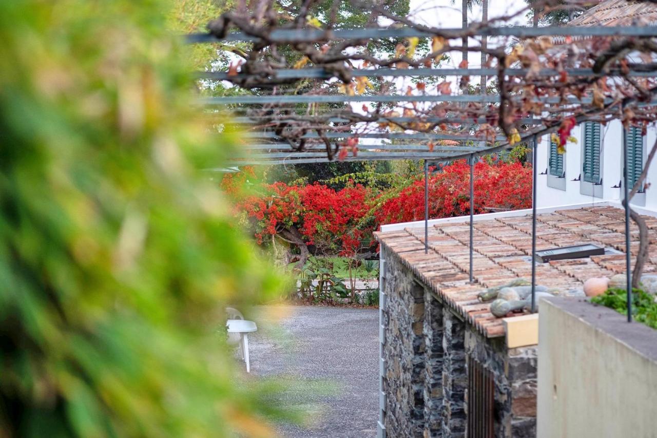 شقة Ourmadeira - Loja Da Lenha, Charming فونشال المظهر الخارجي الصورة