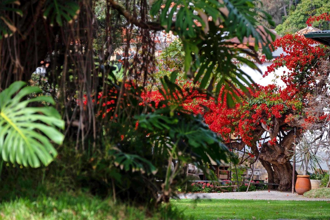 شقة Ourmadeira - Loja Da Lenha, Charming فونشال المظهر الخارجي الصورة