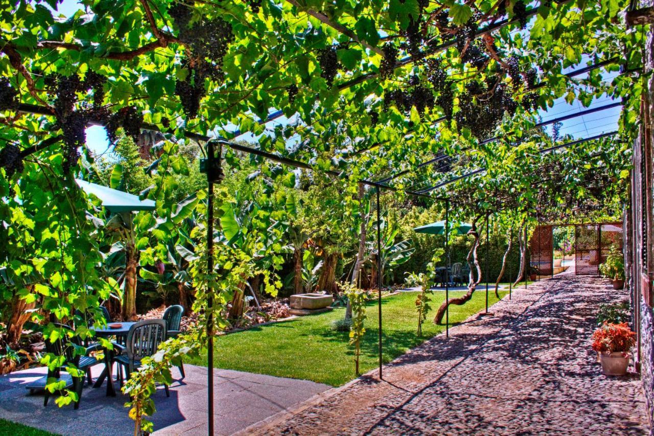 شقة Ourmadeira - Loja Da Lenha, Charming فونشال المظهر الخارجي الصورة