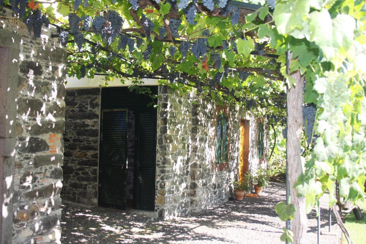 شقة Ourmadeira - Loja Da Lenha, Charming فونشال المظهر الخارجي الصورة